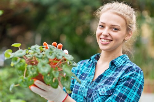 Site inspection for a landscaping complaint review