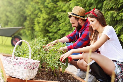 Final complaint resolution summary for landscaping services