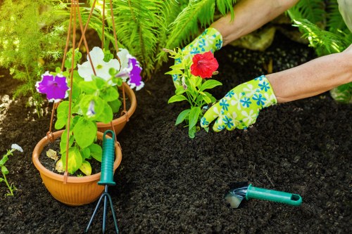 Person reviewing accessible landscaping content on a digital device