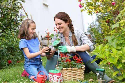 Professional garden landscaping in Brockley with balanced layout