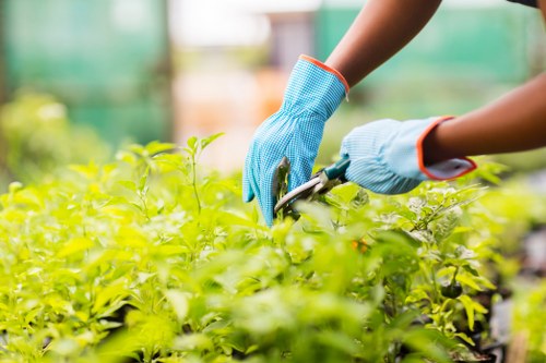 Essential cookies and privacy settings for Landscaping Brockley website