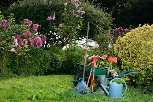 User requesting accessibility support for landscaping information