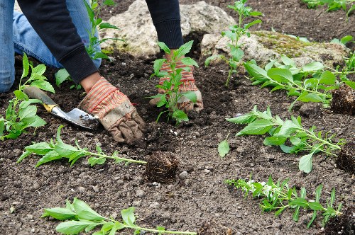 Free quote policy for landscaping services in Brockley