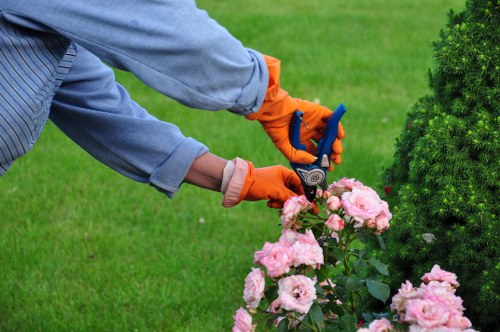 Transparent Brockley landscaping pricing and quote comparison